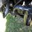 new-holland-workmaster-60-image-26