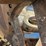 caterpillar-245-image-19