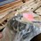#21182-•-misc.-parts-for-semi-image-4