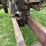 7hp-hercules-image-7