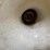 #5530-•-gas-station-lilypad-light-(cw)-image-6