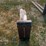 #101-•-set-of-42"-pallet-forks-image-3