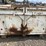 dump-bin-image-5