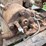 domestic-side-shaft-image-6