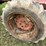 allis-chalmers-ca-image-18