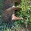 #107-•-3-pt.-post-hold-digger-image-4