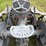 fordson-trackson-image-19