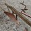 #2062-•-2---antique-plows-image-12