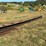 #207-•-belt-conveyor-image-2