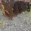 #2075-•-5'-3pt-disk-image-11