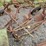 #2067-•-massey-ferguson-3b-3pt-plow-image-1