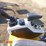 2025-agt-mx12rx-hydraulic-excavator-image-23