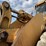 komatsu-wa600-image-12