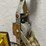 #5514-•-power-pull-come-along-(cw)-image-3