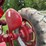 farmall-h-image-16