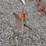 #2064-•-brinley-1b-plow-image-2