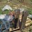 #102-•-set-of-42"-pallet-forks-image-3