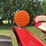 farmall-560-lp-image-44