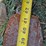 #103-•-set-of-42"-pallet-forks-image-6