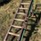 #201-•-roll-case-and-dead-rolls-image-11