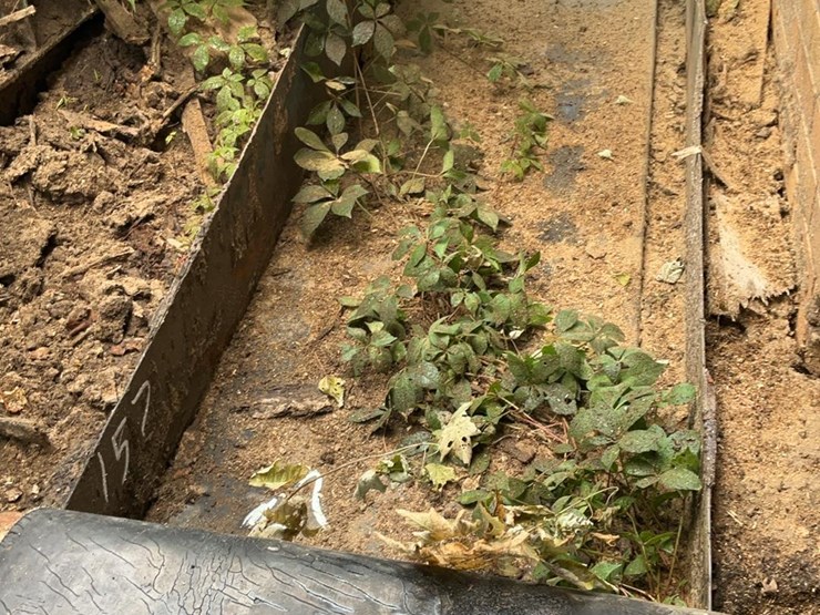 #157-•-belt-conveyor-image-1