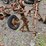 #2068-•-allis-chalmers-2b-pull-plow-image-9