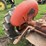 allis-chalmers-wd-45-image-17