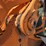 fiat-allis-fl-145-image-24