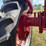 farmall-350-diesel-high-crop-image-30