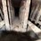65hp-case-steam-engine-image-43