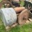 woolery-engine-image-1