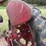 farmall-h-image-5