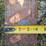 #100-•-set-of-42"-pallet-forks-image-7