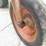 #1979-•-massey-ferguson-perkins-diesel-(of)-image-52