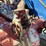 ford-tractor-image-11