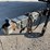 #1031-•-2012-crest-pontoon-(has-wi-title)-and-trailer-(no-title)-image-11