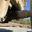 1980-caterpillar-930-image-46