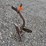 #2064-•-brinley-1b-plow-image-5