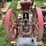4hp-associated-image-8