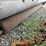 #2081-•-mott-77"-3pt-flail-mower-image-15