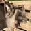 nelson-bros.-little-jumbo-image-9
