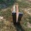 #107-•-set-of-42"-pallet-forks-[damaged]-image-3