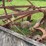 reeves-gang-plow-image-14