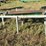 #217-•-dead-roll-table-and-steel-frame-image-9