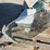 #6776-•-1959-glasspar-boat-parts-image-2