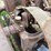 gilson-engine-1.5hp-image-7