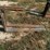 #104-•-set-of-42"-pallet-forks-image-4