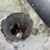 #1415-•-gomaco-3600-image-57