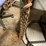 #5521-•-long-log-chain-(cw)-image-6