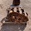 #8205-•-skid-steer-tracks-image-1